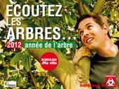 2012, année de l'arbre. Publié le 18/04/12. Bordeaux